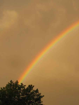 regenbogenwow.jpg