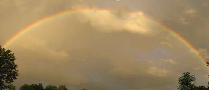 regenbogen111.jpg