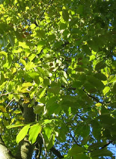 Maibild1_1_5_1.jpg
