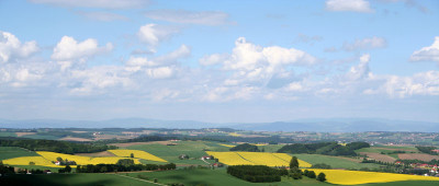 Rapsfeld-8.jpg