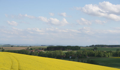 Rapsfeld-10.jpg