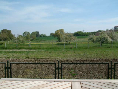 DSCF0014.jpg