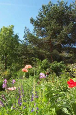 markischer_Garten.jpg