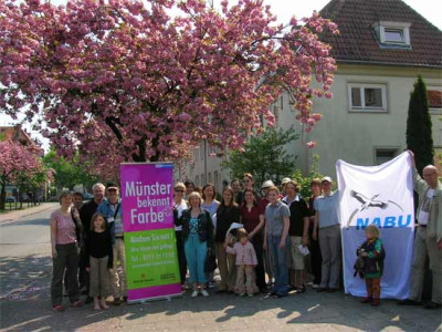 2005_sentmaring-kirsche-550.jpg