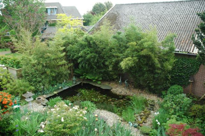 2006H466_Small.JPG