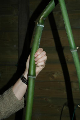 2006H468_Large.JPG