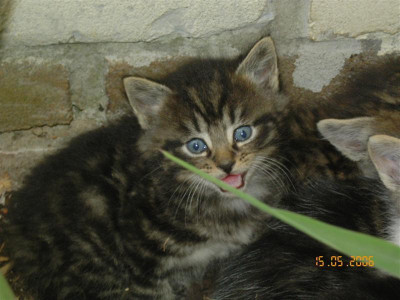 KIF_1228_Medium.JPG