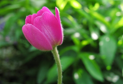 Axlesseri0522k.jpg