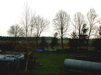 Wiese1.jpg