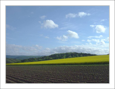 Lokalkolorit_1_21-05-2006.jpg