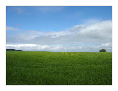 Lokalkolorit_5_21-05-2006.jpg