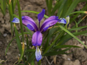 Bild11_003.JPG