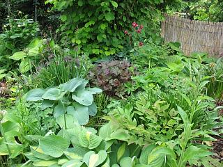 IMG_1130.JPG