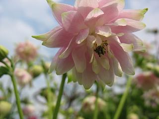 IMG_1100.JPG