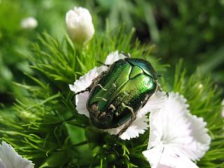 IMG_1056.JPG