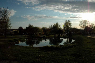 DSC_4829.JPG
