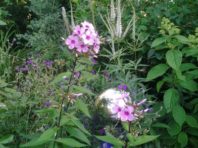 20150716_180351.jpg