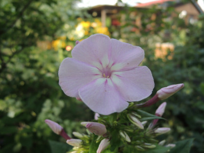DSCN7768_796.JPG