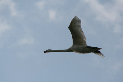 Himmel-Mai06-01.jpg