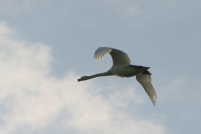 Himmel-Mai06-02.jpg