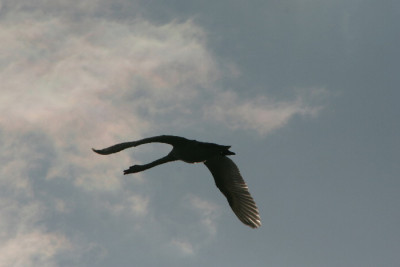 Himmel-Mai06-03.jpg