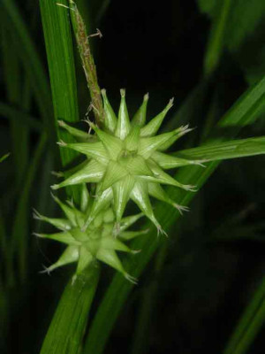 PICT0010.jpg