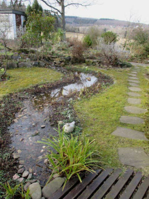 bachlauf-030315.jpg