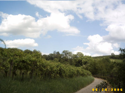 2006_0524Bild0023.JPG
