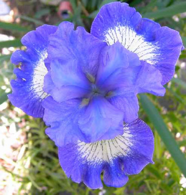 23.5.06._006.JPG