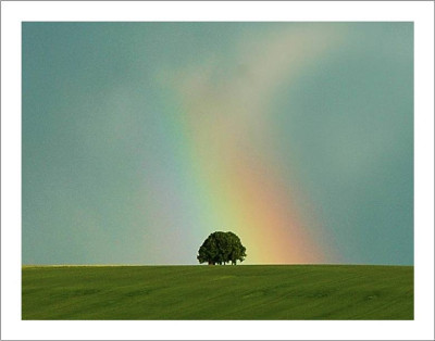 Regenbogen_4_23-05-2006.jpg