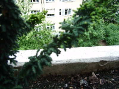 wwwSA550067.JPG