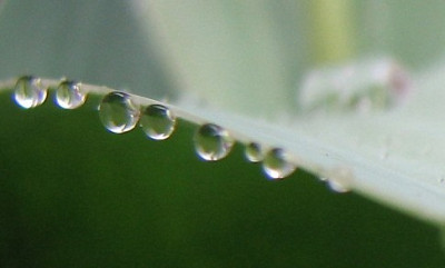 Tropfenreihe20.05.06_021.jpg