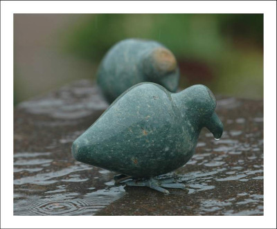 Regen_Tauben_1_26-05-2006.jpg