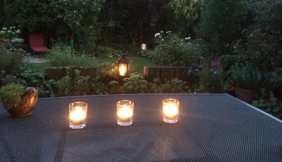 18072015 garten 1.png