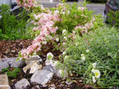 PICT0897.JPG