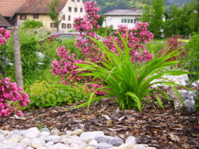 PICT0903.JPG