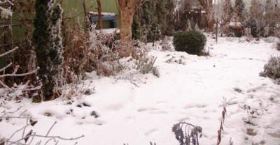 2005-12-02_winter.jpg