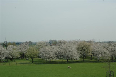 2006H176_Small.JPG