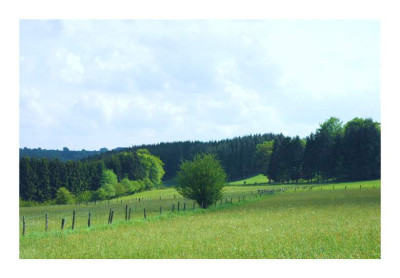 Vennwiesen_1_28-05-2005.jpg