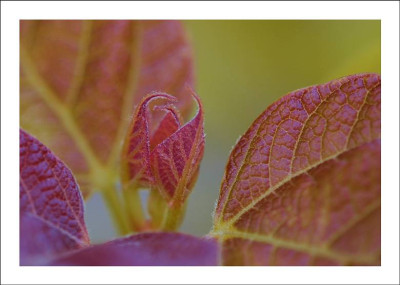 Blatt_1__28-05-2005.jpg