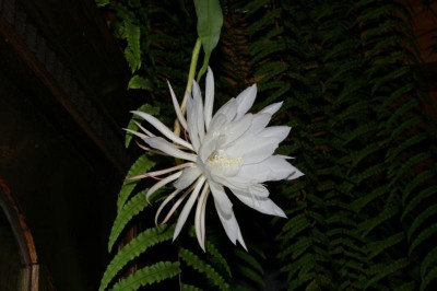 K800_040.JPG