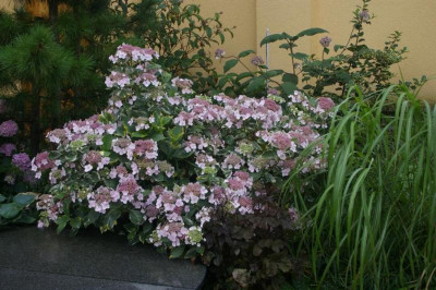 K800_070.JPG