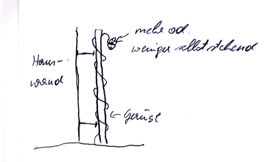 fassade.gif