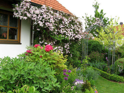 Garten0526.jpg