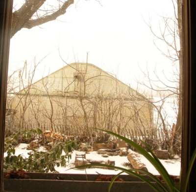 bad_2006-02-03.jpg