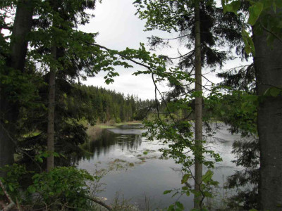 moorteich.jpg