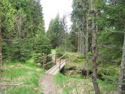 moorbruecke.jpg