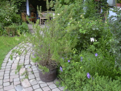 aktuelles_Bild_001.jpg