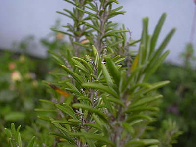 aktuelles_Bild_002.jpg