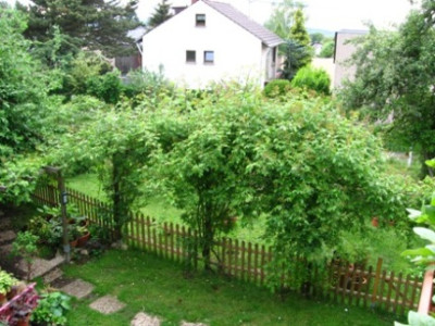 Bobby_James_an_Pergola.jpg